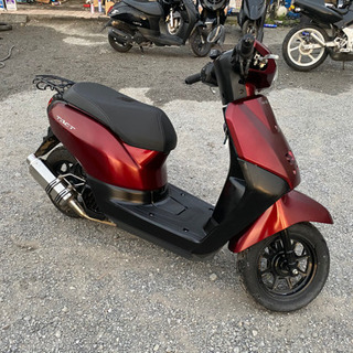 オートショップable 02102707H ホンダ タクト AF75 ワイン 関東圏内