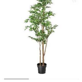 【格安IKEA】フェイカ 人口観葉植物 ベンジャミン