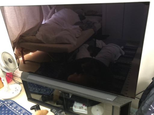 LG OLED55C9PJA OLED C9P 55V型　有機ELテレビ