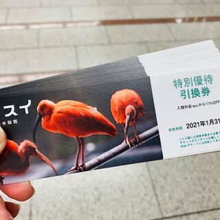 川崎水族館　カワスイ　１０％OFF特別優待引換券　優待券　割引券