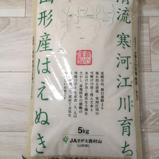【ネット決済】寒河江産 はえぬき10kg(5kg×2袋)