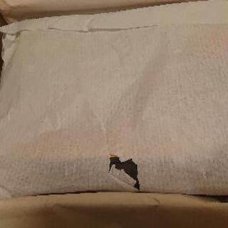 オフホワイト×NIKEラバーダンク新品