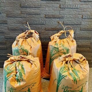 【お米】白米2袋　玄米2袋　４袋まとめ売り
