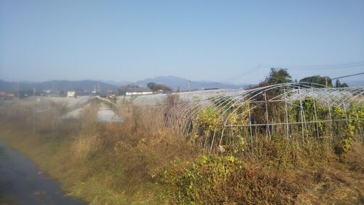 ビニールハウスパイプ 中古 １００m超/他 現地にて解体\u0026取りに来れる方 ★2t駐車可･公衆ﾄｲﾚ横に有
