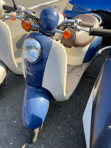 HONDA スクーピー　不動　数ヶ月　福岡市南区