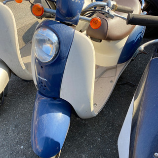 HONDA スクーピー 不動 数ヶ月 福岡市南区 sitcr.com
