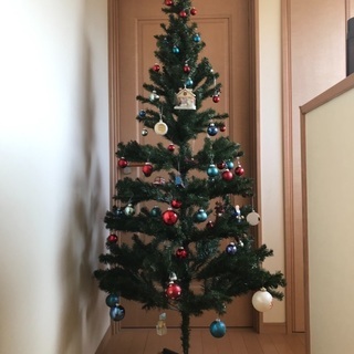 取引予定者決定しました。大きいクリスマスツリー