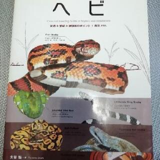 ヘビの種類、飼育等