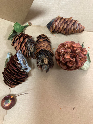 青山フラワーマーケット リース せつこ 琴似の家電の中古あげます 譲ります ジモティーで不用品の処分