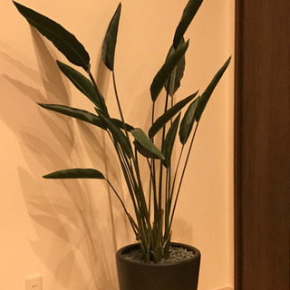 フェイクグリーン　人工観葉植物