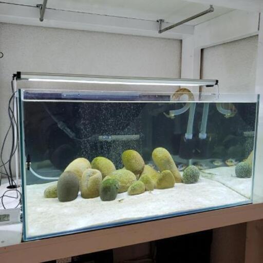 水槽セット