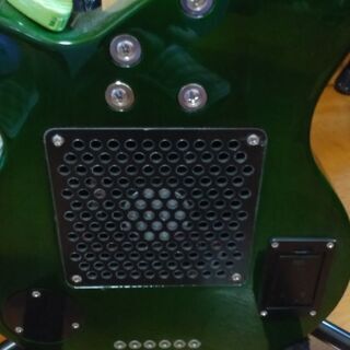 弦楽器、ギター (大幅値下)PIGNOSE/PGG200FM SGR