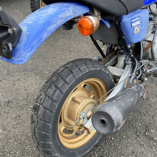 HONDA エイプ　50 実働　福岡市南区