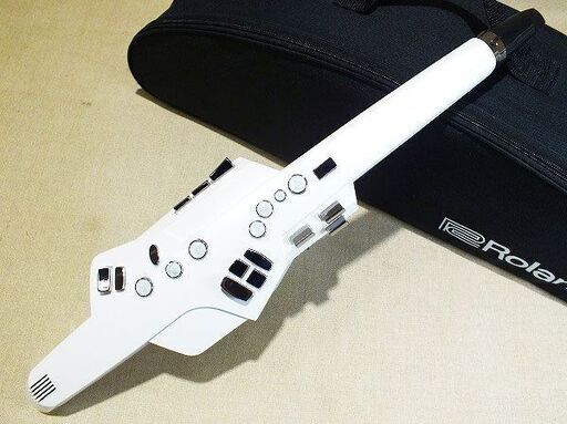 【苫小牧バナナ】Roland/ローランド ウインドシンセサイザー Aerophone/エアロフォン AE-10 状態良好 音出しOK ソフトケース付き♪