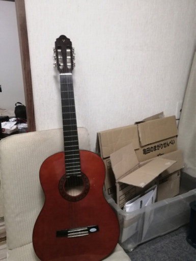 値下げしました]Eastman フルアコ T-186MX Antique Red Yahoo