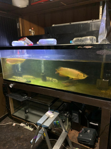 180水槽セット