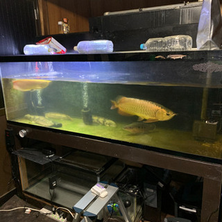 180水槽セット