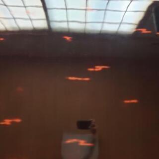 机　卓　漆塗り