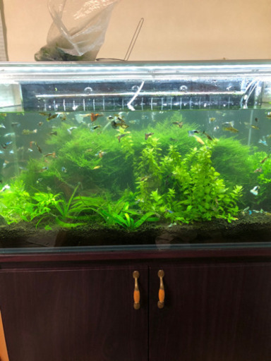 90センチ水槽フルセット