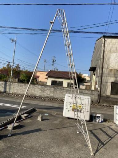 長谷川工業(株) ハセガワ 園芸はしご 梯子 GSC型 12段 3.6m GSC-360T