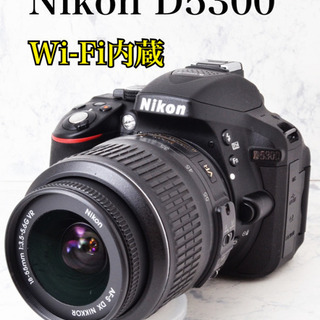S数2077回●簡単自撮り●Wi-Fi内蔵●ニコン D5300 ...