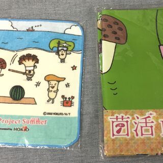 ※新品※　菌活プロジェクト　ミニハンカチタオル　レジャーシートセット