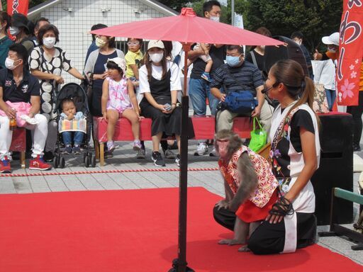 姫路城の大手前公園にて姫路自由市場令和3年8月9月フリマ開催 出店者募集 虎徹 姫路 のフリーマーケットのイベント参加者募集 無料掲載の掲示板 ジモティー 姫路城の大手前公園にて姫路自由市場令和3年8月9月フリマ開催 出店者募集 虎徹 姫路 のフリーマーケットのイベント参加者募集 無料掲載の掲示板 ジモティー