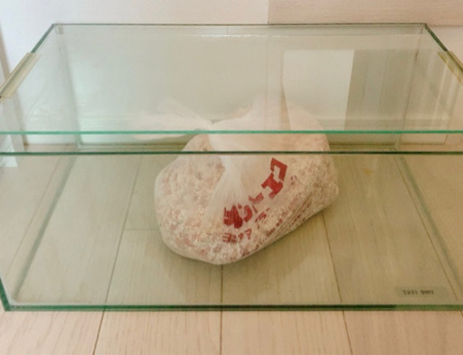 最終値下げ☆浅型 オールガラス 水槽 メダカ、ビオトープなどに☆