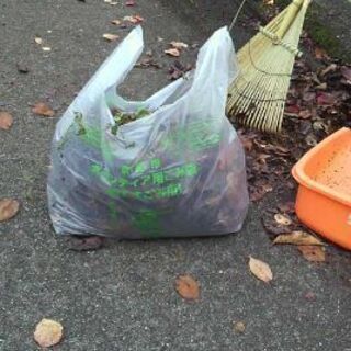 ※【令和2年１２月度】<京都市役所洛西支所周辺>落ち葉、ポイ捨てゴミ回収ボランティア　 - ボランティア