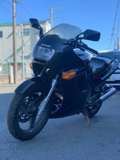 その他 ZZR250