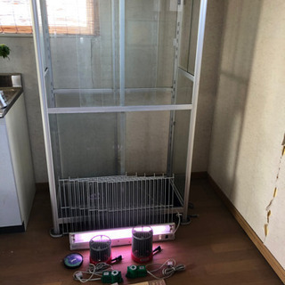 ガラス温室+オプション 4
