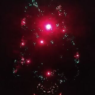 クリスマスツリー（LEDライトのイルミネーション）