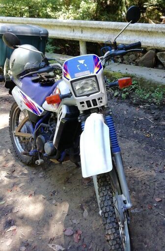 DT50　②　最終今月末まで