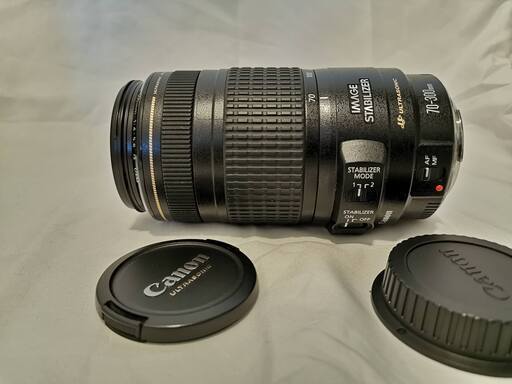 その他 Canon EF70-300 / F4-5.6 IS USM