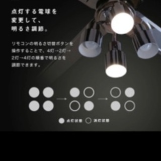 シーリングファン　シーリングライト