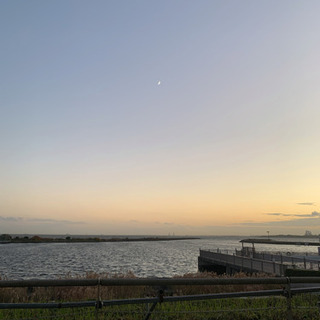 河川敷ウォーキング、散歩orサイクリング　東大島〜葛西付近