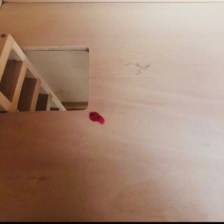 ボーネルンド☆ドールハウス　クリスマス限定バージョン　近郊の方、お届けします ボーネルンド☆ドールハウス クリスマス限定バージョン 近郊の方、お