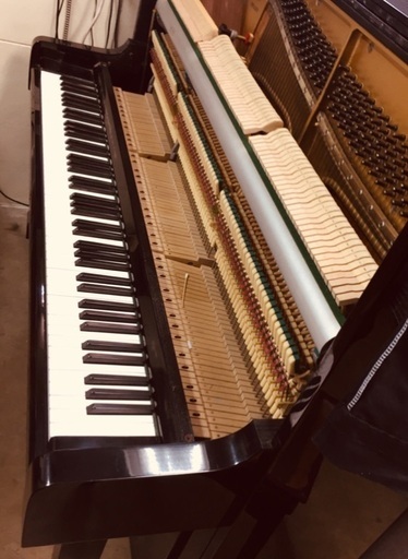 Kawai BL-12
