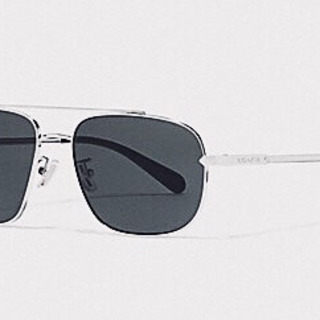 COACH サングラス（メンズ） belitacollection.com