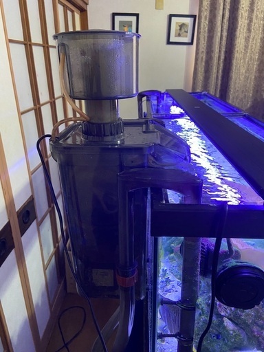 海水魚122㌢水槽セット