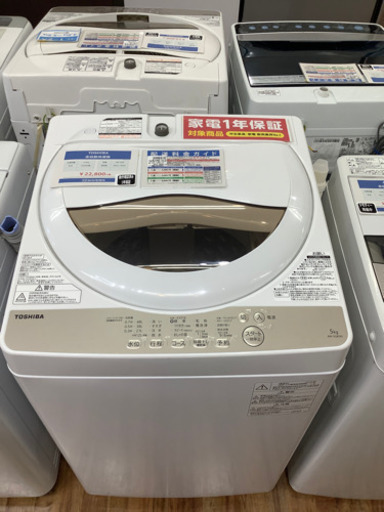 全自動洗濯機  TOSHIBA(東芝) 2020年製 5.0kg