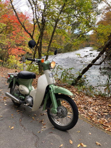 リトルカブ 50cc☆