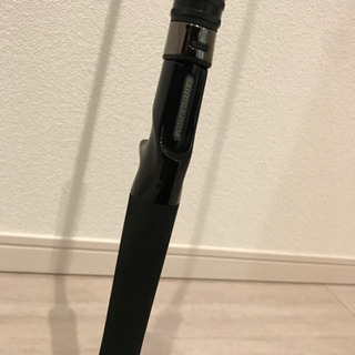 デプス サイドワインダー バーディック