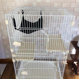 千葉県の中古猫ケージが無料 格安で買える ジモティー