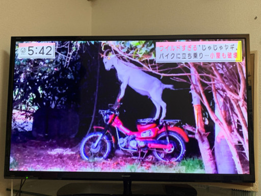 最終値下げ![29日午前まで]液晶テレビ40 SHARP 2016年製