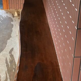 入手困難！天然本物1本桜！「幅360センチ×奥行40センチ×厚み10センチ」の巨大な桜の木！