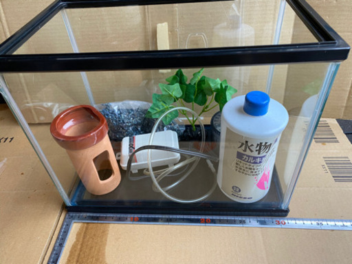 ニッソー30cmガラス水槽蓋付きセット おー 森林公園のその他の中古あげます 譲ります ジモティーで不用品の処分 ニッソー30cmガラス水槽蓋付きセット おー 森林公園のその他の中古あげます 譲ります ジモティーで不用品の処分
