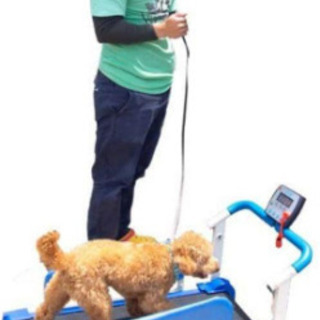 犬用ウォーキングマシーン