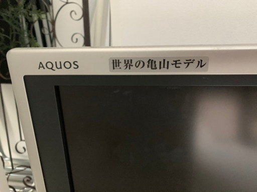 テレビ