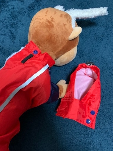 ダックスレインコート赤色 ゆーさん 八王子のその他の中古あげます 譲ります ジモティーで不用品の処分